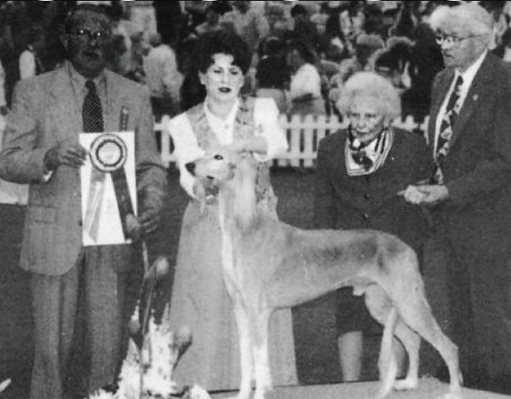 Detroit Kennel Club, 1995